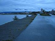 STF_0044.jpg