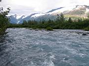 IMG_0103.jpg