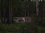 Moose in Playground 1.jpg