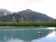 Short Hike to small creek 04.jpg