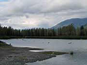 Short Hike to small creek 05.jpg