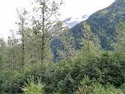 Short Hike to small creek 07.jpg