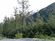 Short Hike to small creek 08.jpg