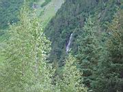 Short Hike to small creek 14.jpg