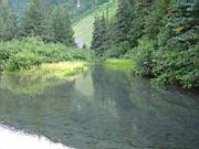 Short Hike to small creek 15.jpg