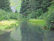 Short Hike to small creek 16.jpg