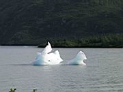 ice in bay, welcome center 1.jpg