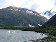 ice in bay, welcome center 2.jpg