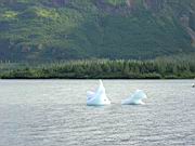ice in bay, welcome center 3.jpg