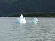 ice in bay, welcome center 4.jpg
