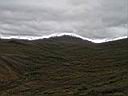 IMG_2698.JPG