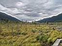 IMG_2624.JPG
