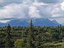 IMG_2636.JPG