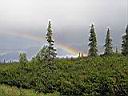 IMG_2643.JPG