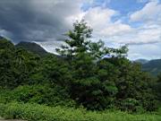 IMG_2421.JPG