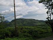 IMG_2423.JPG