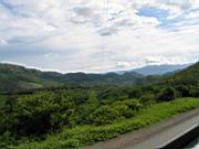 IMG_2424.JPG