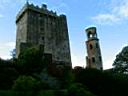 IMG_1463.JPG
