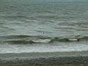 IMG_1426.JPG