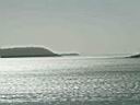 IMG_1479.JPG