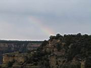 IMG_2333.JPG