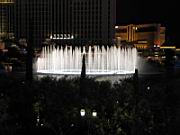 IMG_2279.JPG